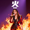 009.火【张惠妹・金曲卡拉OK】 12 首连播｜纯伴奏・不断唱・零打扰