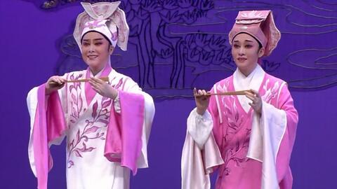 白字戏梁祝十八相送,白字戏梁祝十八相送第三场