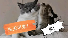 316d5e06c0cb9995fee07ccc196c53cdab26129e.jpg@280w_158h_1c_100q.jpg