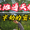 八极拳立地通天炮