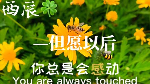 31be8e204cb59f7de576c93ea7485e11e4d06d93.jpg@480w_270h_1c