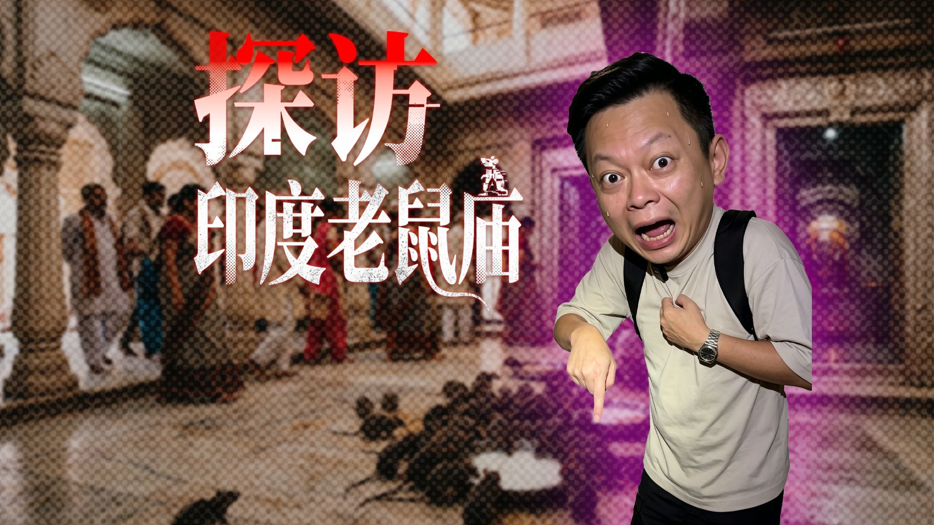 胆小慎入！直哥勇闯印度老鼠庙：跟2万只老鼠待一块，什么体验