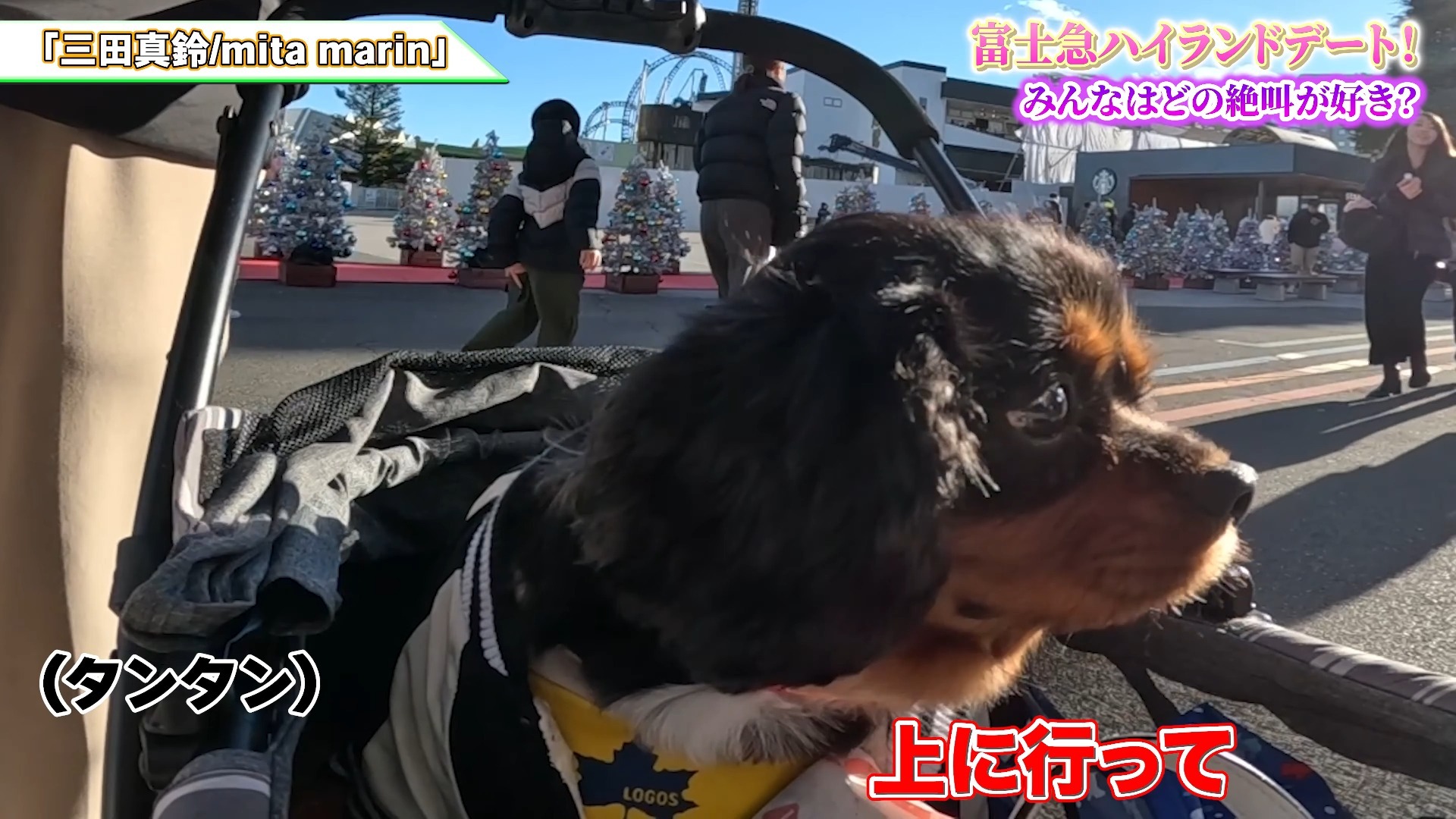 【纯AI中字】约会想去的地方！富士急乐园尖叫等级排行榜TOP3