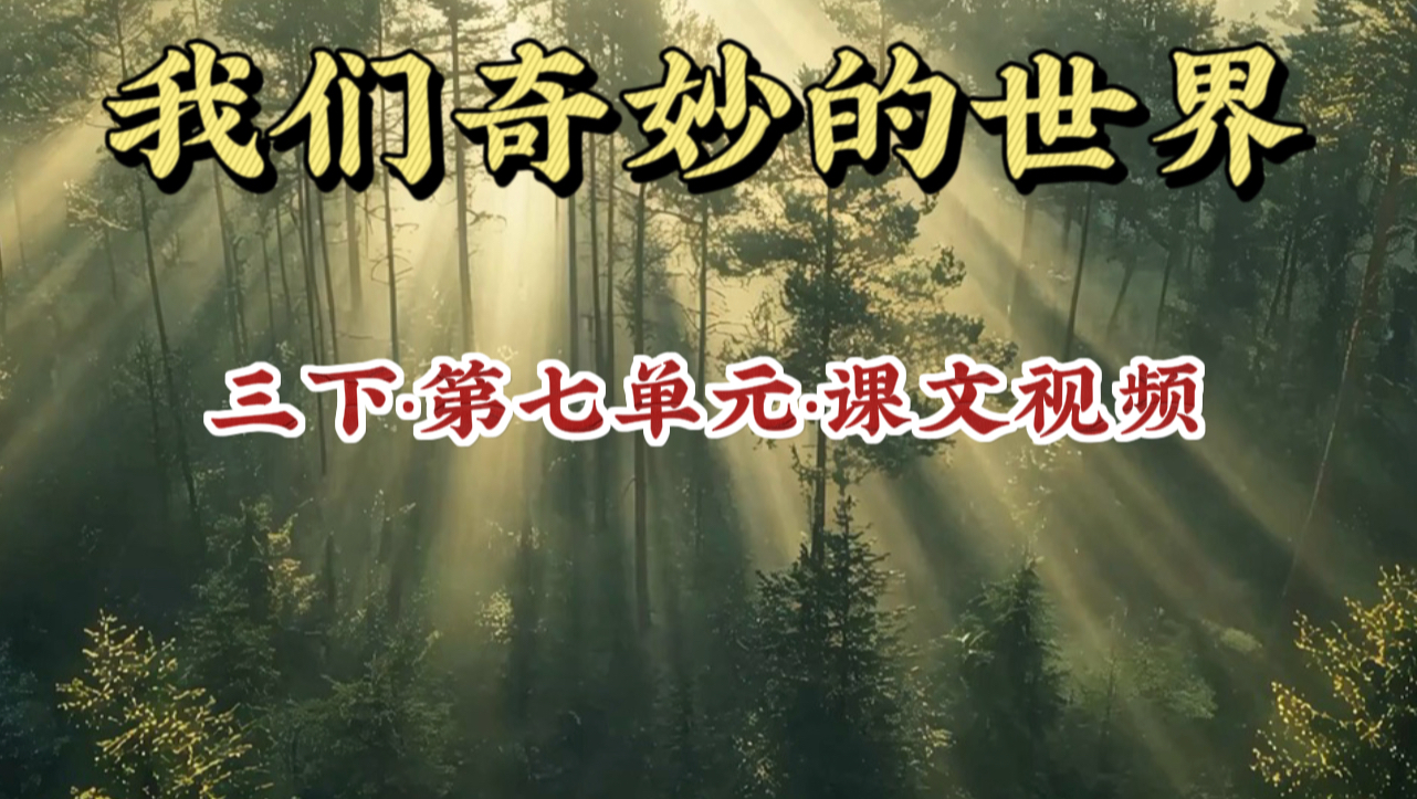 【三下 我们奇妙的世界 新版本】
