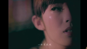东风破琵琶曲谱_琵琶谱东风破(4)