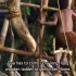 儿童记录片《小小人类星球》10 Living in the Jungle Papua英文字幕