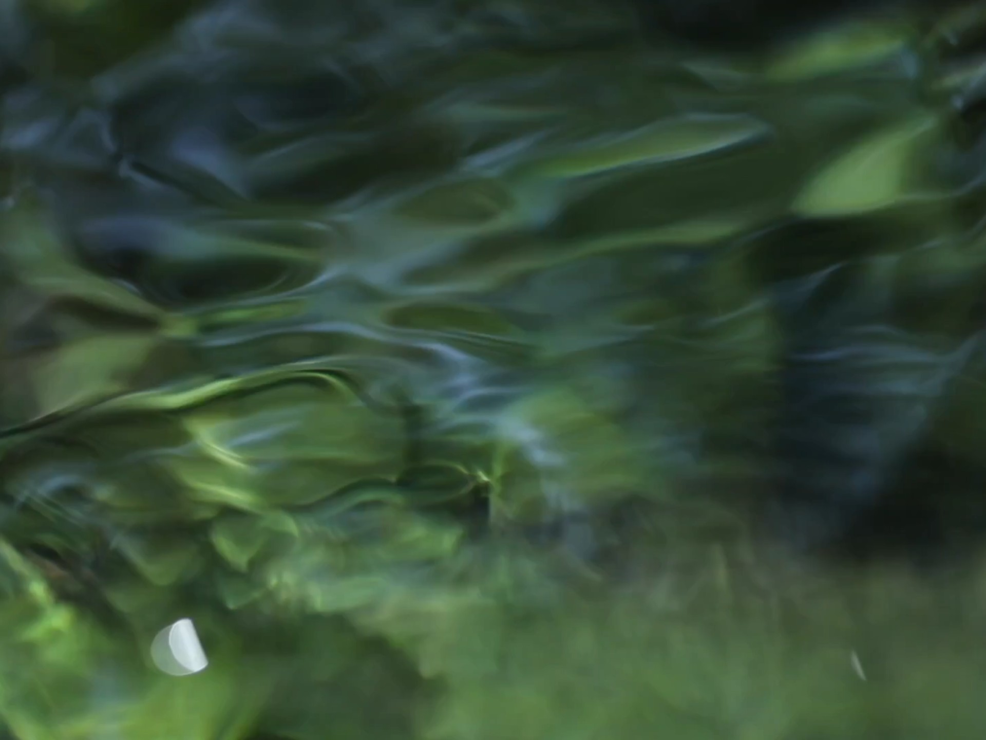 这就是花了两年半拍的溪水啊！