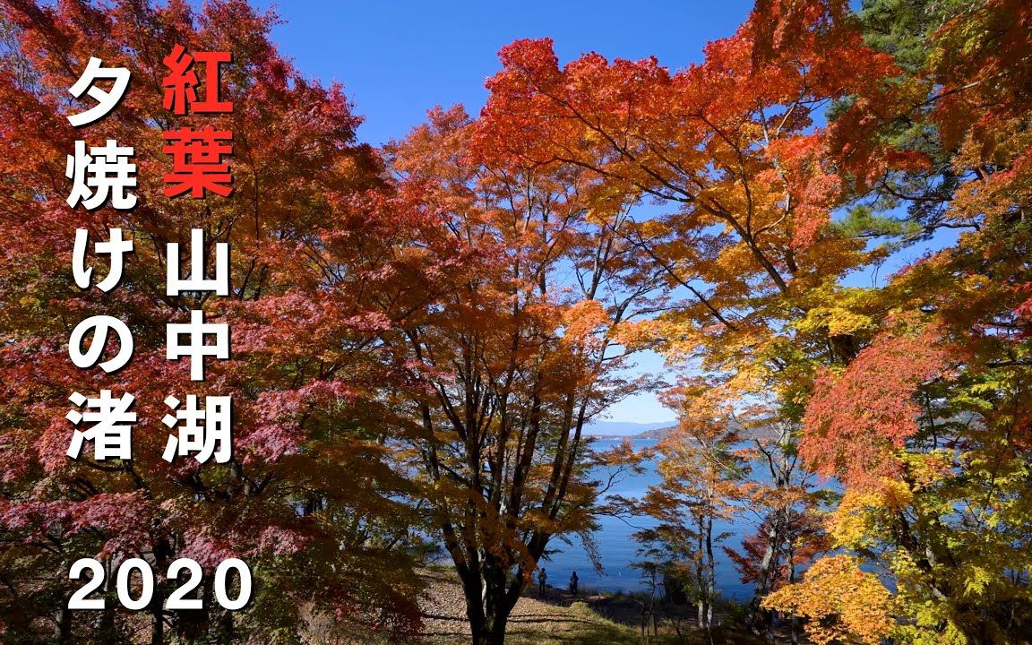 4K 红叶 山中湖 Part 2 Beautiful Autumn Colors At Lake Yamanaka哔哩哔哩 (゜゜)つロ 干杯~bilibili