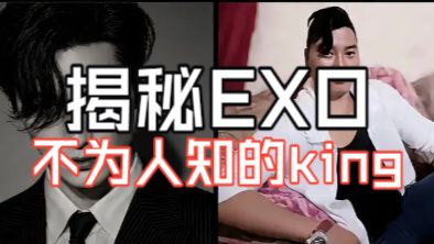 曾经的王King：爱展示猪咪的exo第十三人