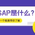 一个视频带你了解SAP