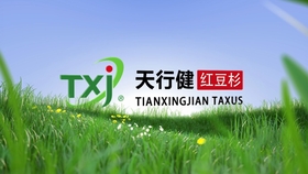 发财树多少钱一棵 合适 326e543047c523fda2827a0b343a374663c34770.jpg@280w_158h_1c_100q.jpg