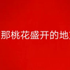 在那桃花盛开的地方――董振厚（原唱