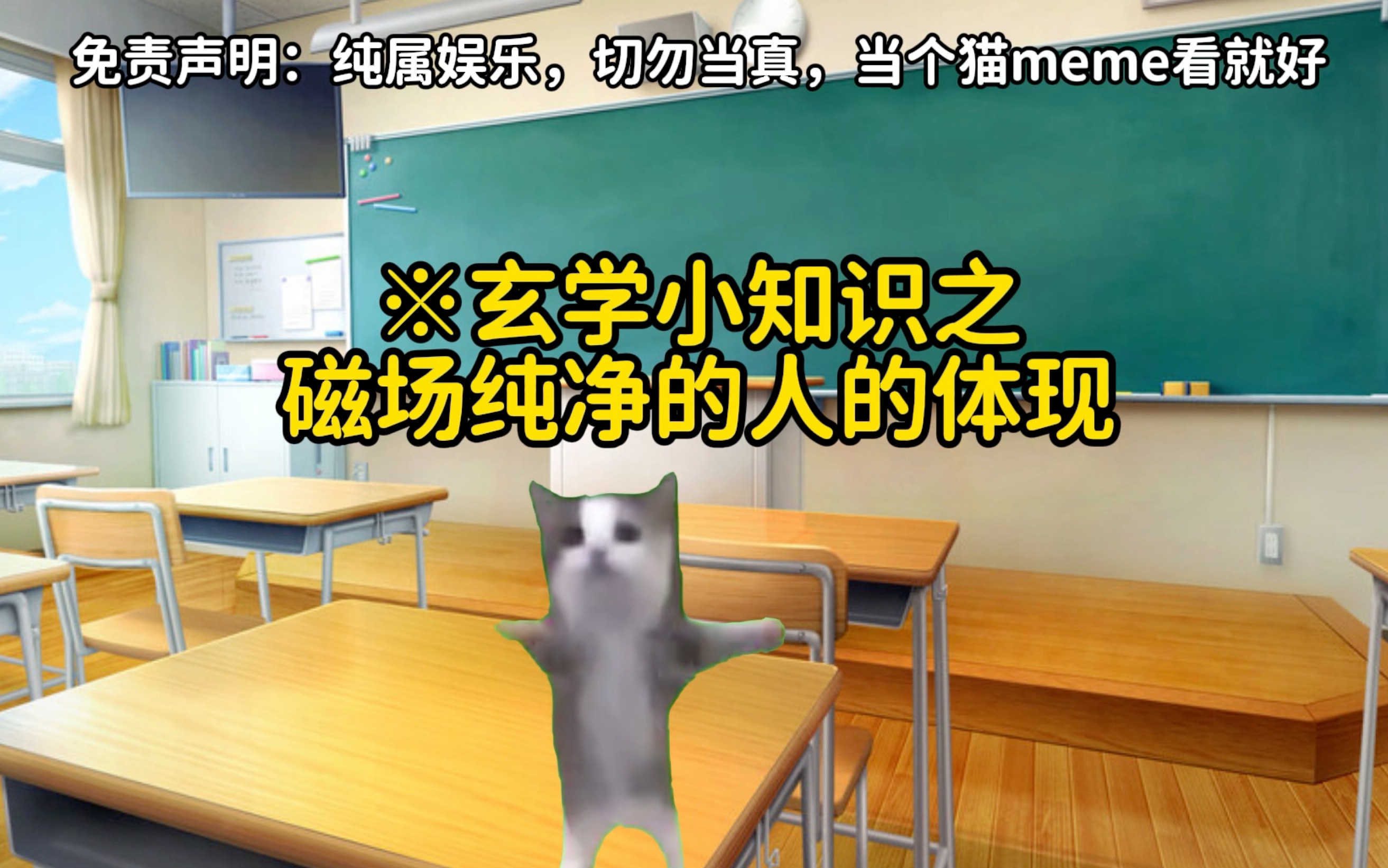 【猫meme】玄学小知识之磁场纯净的人的体现