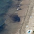 重大石油泄漏事故！3000桶原油从美国南加州海岸平台溢出