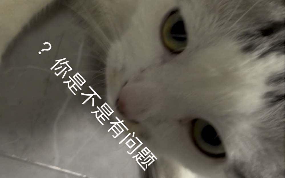 快变啊你为什么不变