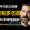 用多巴胺打败拖延，优化动力与执行力！ | 斯坦福神经学教授 Dr. Andrew Huberman 中英字幕 1080p