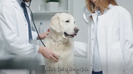  Discover Exceptional Care at Dr. John's Pet Clinic: Your Trusted Partner for Pet Health and Wellness