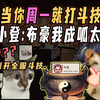 【阴阳师整活】当你周一就去打斗技时……小登：布豪！我成呱太了！_游戏热门视频