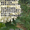 欲言难止｜就是对你偏爱
