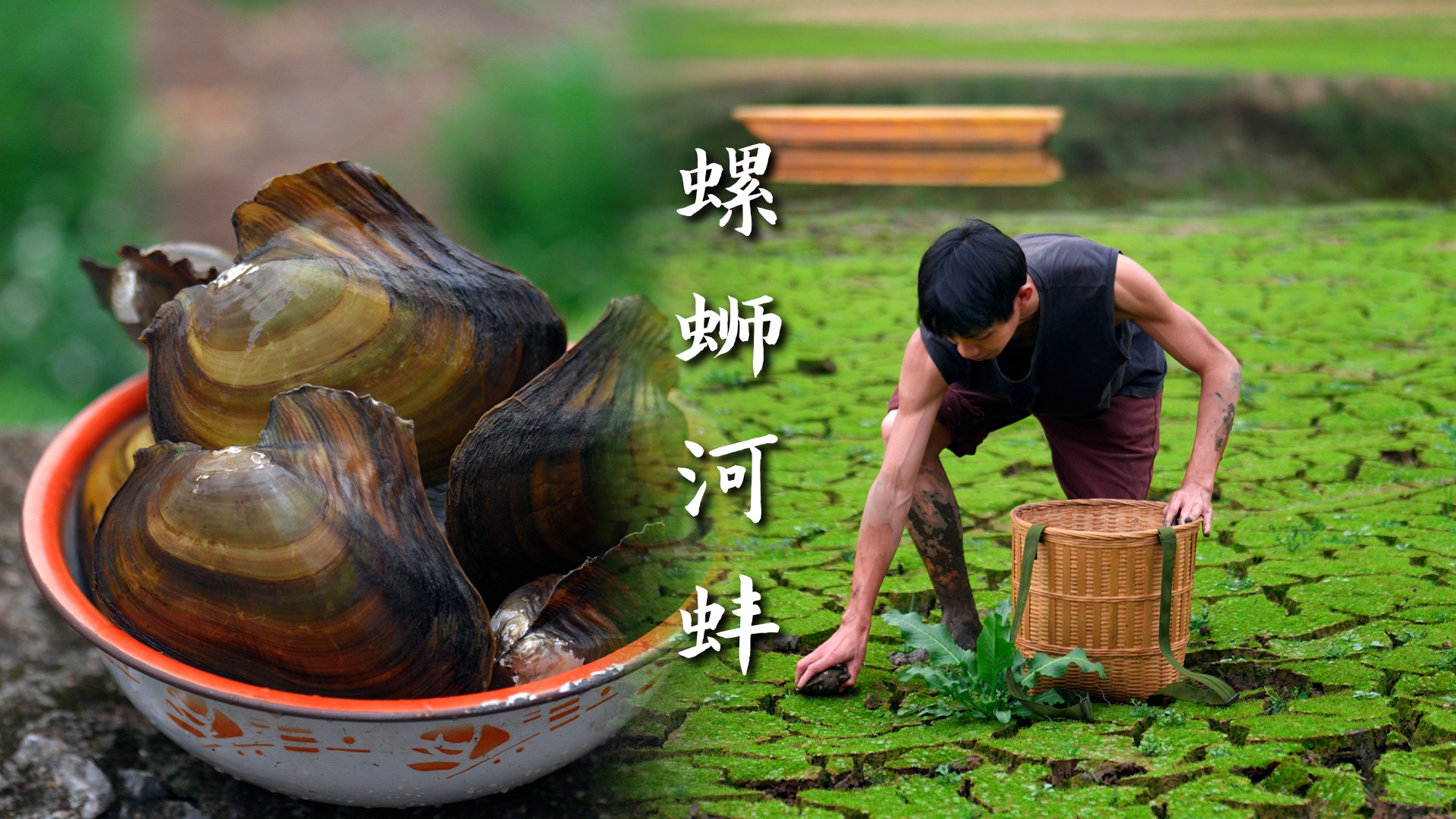 挖大河蚌摸螺蛳，做一锅春天的味道