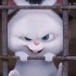 极具反差萌的兔子——雪球【爱宠大机密】