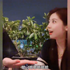 盘点那些智商堪忧的女朋友