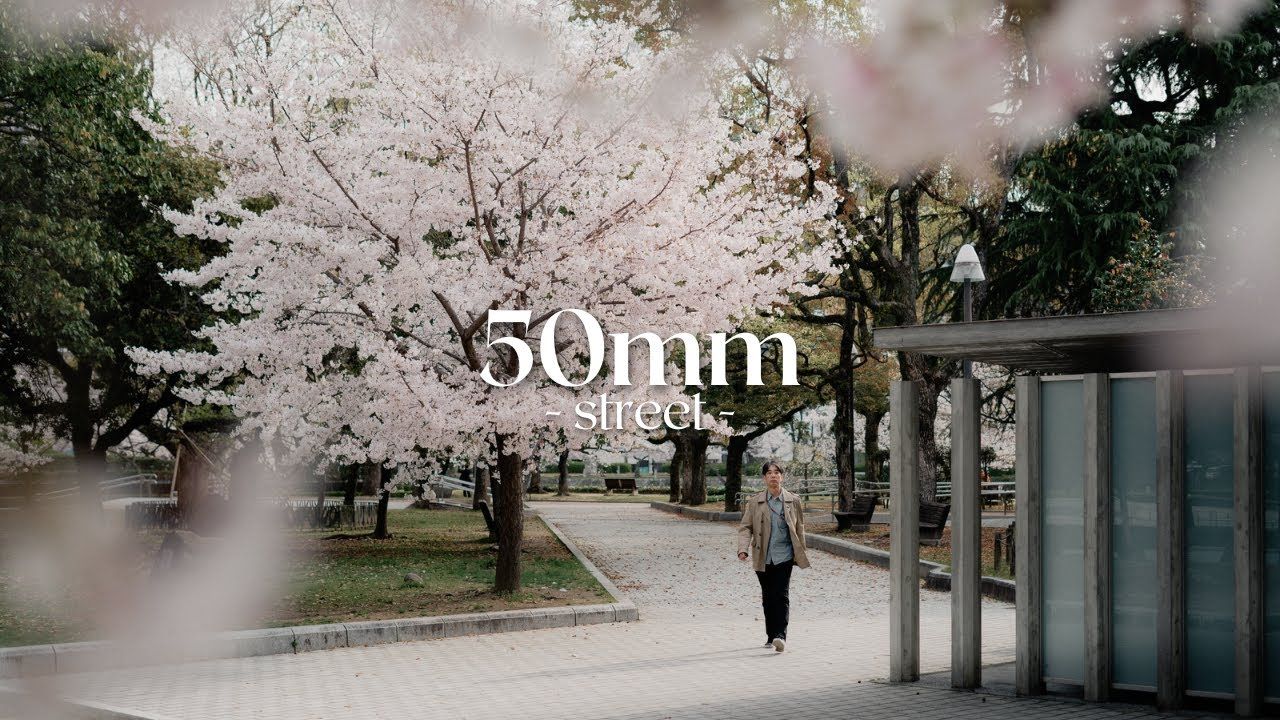 50mm街头摄影与构图分解，樱花版