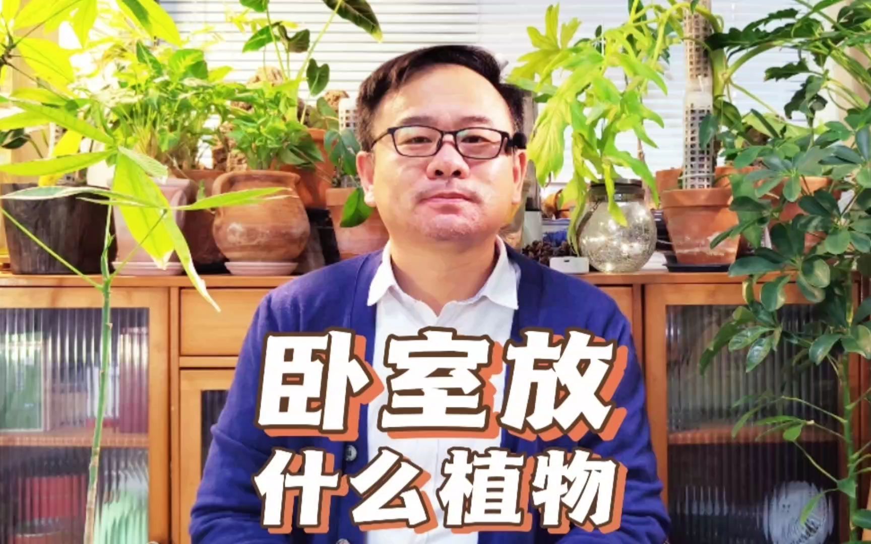 卧室可以放什么植物？推荐6种，耐荫好养，净化空气