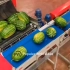 西瓜种植加工：惊人的西瓜加工厂！