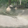 超～～近距离拍摄