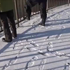 【弹幕付】ワカサギ釣ってみた【アル中カラカラハイボール