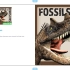 Fossils and Dinosaurs 5-7岁 化石和恐龙 原版分级英文绘本读物科普少儿童启蒙