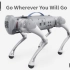 Go1机器狗：能陪你跑步帮你搬东西， 售价1.6万元-Unitree's Go1 Robot Dog