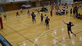 3381d0abc1ee2b42015f71a4a0b8574fa56e89d4.jpg@280w_158h_1c_100q.jpg