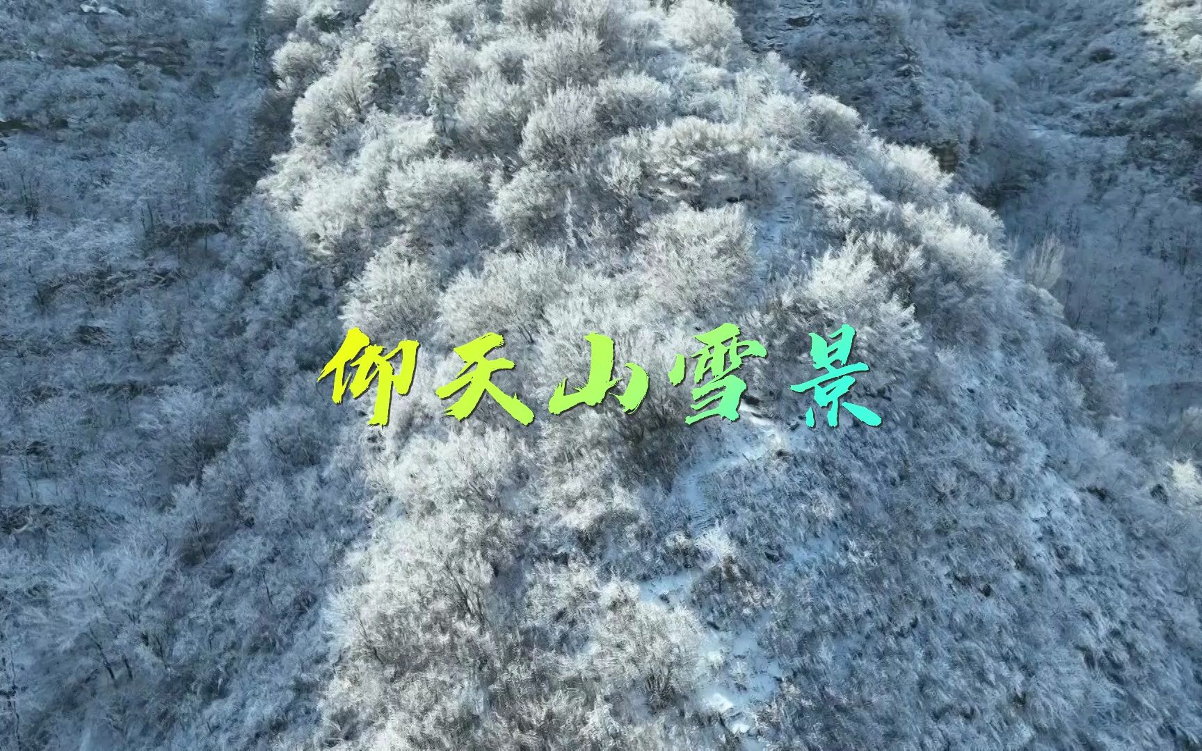 雪后的仰天山仿佛童话里的冰雪世界，令人陶醉，美不胜收，一起欣赏仰天山雪景吧#好客山东好品山东 #好客山东好美齐鲁