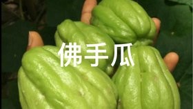 3398ce5f077aff3fc4d645ac7e5006f31e6b68f5.jpg@280w_158h_1c_100q.jpg