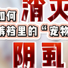 困扰我们夜不能寐，让我们尴尬不已的阴虱如何治疗呢？皮肤科医生在线除虫，消灭阴虱