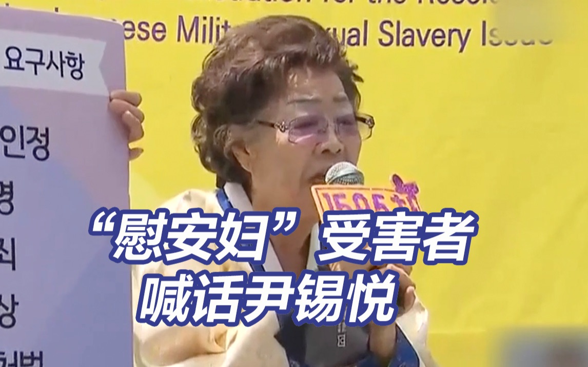 尹锡悦竞选总统时曾说不当总统也要解决“慰安妇”问题