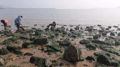 33dac41fbe42b3fb7bd086f187baf2537e3fde32.jpg@480w_270h_1c