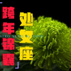 这个水逆，让处女座想辞职，要不...停止内耗、为自己打工