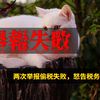 两次举报偷税失败，每次都告稽查局