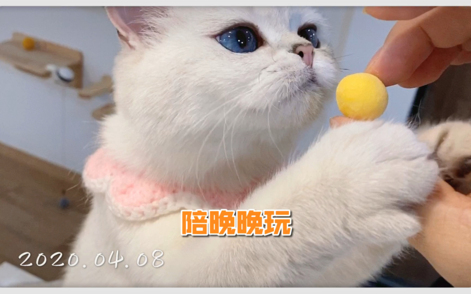 家里再多玩具晚晚还是要我陪她玩
