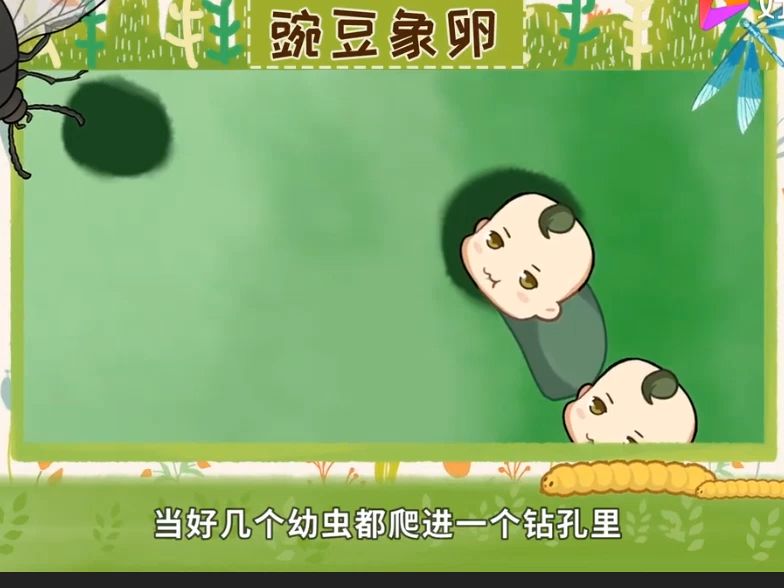 7、豌豆像