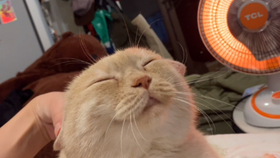 345af884c2226ff70193d4268b3d343b5e9466e8.jpg@280w_158h_1c_100q.jpg