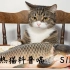 铝热猫科普喵S1E3：当心！餐桌上的有毒鱼类（上）