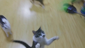 快滚出来 346d6027392fb806e2807684e48139ba47b5832b.jpg@280w_158h_1c_100q.jpg