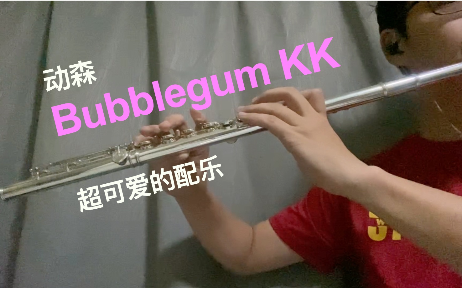 动森 -  KK偶像 《Bubblegum K.K.》长笛