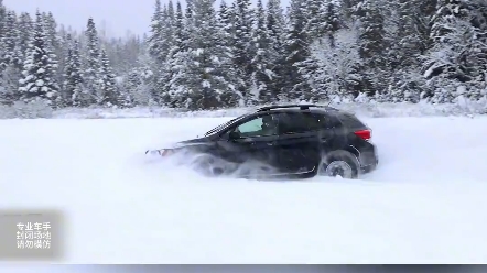 能把SUV这样开的估计也就这牌子了吧 这样刨雪，这感觉丝毫不把两驱车放在眼里啊#斯巴鲁 #crosstrek #全时四驱 #雪地开车