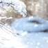 空镜头下雪视频素材