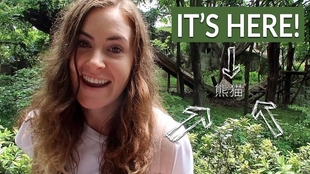 夫妻的世界在线观看国语 34cbdd3c2680f4b4adba5b6728f6ff963b580eae.jpg@310w_174h_1c_100q.jpg